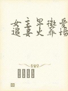 女主卑微爱男主追妻火葬场封面