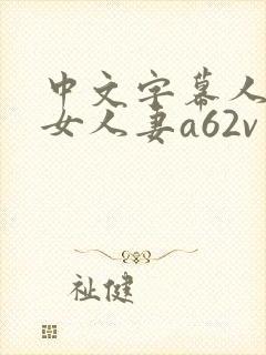 中文字幕人妻熟女人妻a62v网