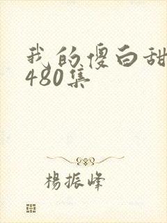 我的傻白甜老婆480集