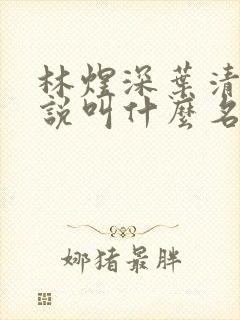 林煜深叶清瑶小说叫什么名字封面