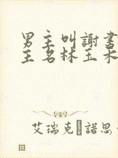 男主叫谢书淮女主名林玉禾的小说
