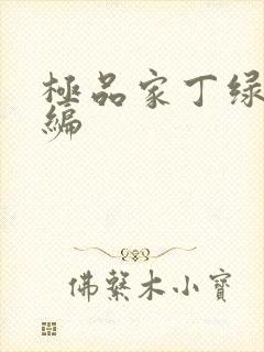极品家丁绿帽改编