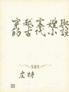穿越寡嫂与小叔的古代小说