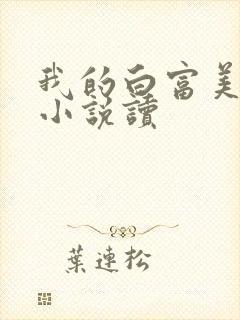我的白富美老婆小说读