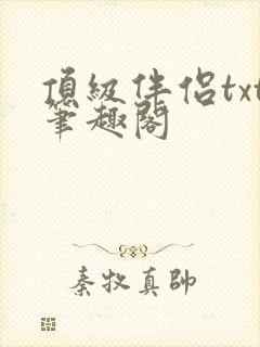 顶级伴侣txt笔趣阁