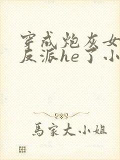 穿成炮灰女配和反派he了小说