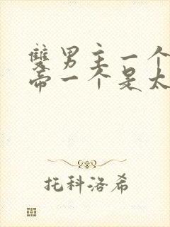双男主一个是皇帝一个是太监