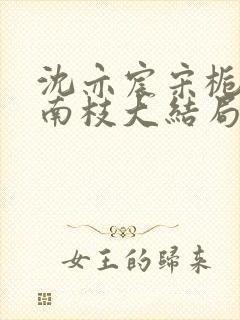 沈亦宸宋栀夏阮南枝大结局封面