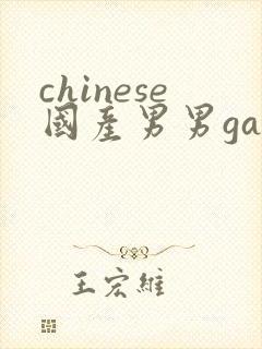 chinese国产男男gaygay网站