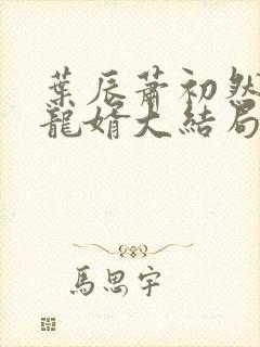 叶辰萧初然上门龙婿大结局