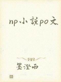 np小说po文