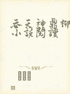 吞天神鼎柳无邪小说阅读