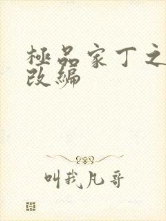 极品家丁之绿帽改编