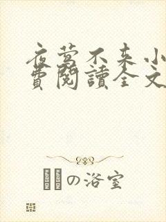 夜莺不来小说免费阅读全文无弹窗