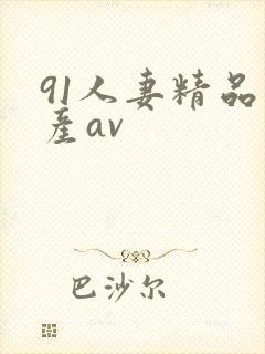 91人妻精品国产av