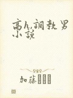 高h,调教男男小说