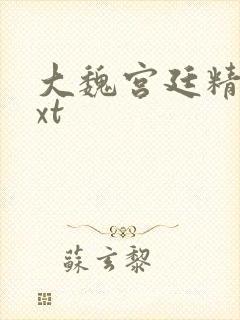 大魏宫廷精校txt