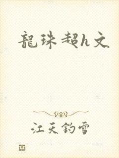 龙珠超h文