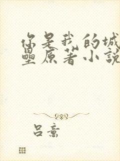 你是我的城池营垒原著小说免费阅读