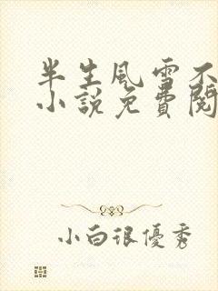 半生风雪不只你小说免费阅读无弹窗