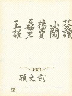 王磊杨小芬的小说免费阅读全文最新章节封面