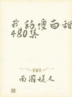 我的傻白甜老婆480集封面