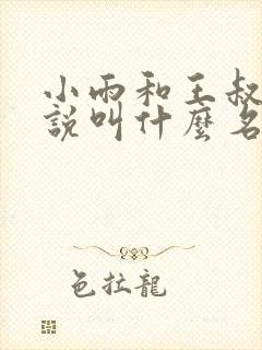 小雨和王叔的小说叫什么名字