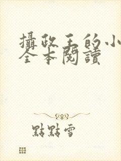 摄政王的小闲妻全本阅读