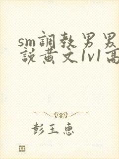 sm调教男男小说黄文1v1高h强制