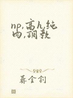 np,高h,纯肉,调教封面