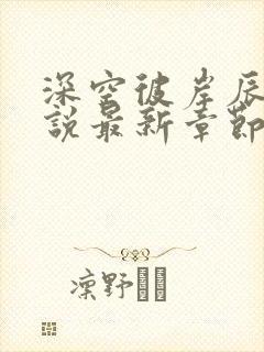 深空彼岸辰东小说最新章节