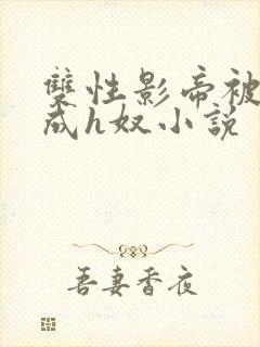 双性影帝被调教成h奴小说封面