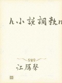 h小说调教np