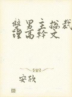 双男主总裁和助理高干文