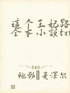 这个王妃路子野全本小说txt下载