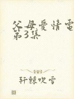 父母爱情电视剧第3集