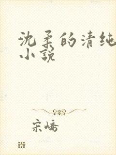 沈柔的清纯日常小说