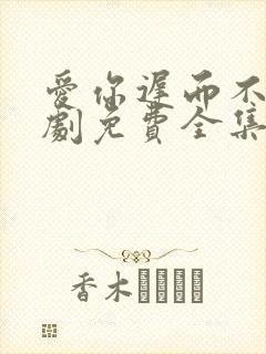 爱你迟而不晚短剧免费全集免费播放