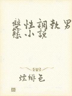 双性调教男奴变态小说
