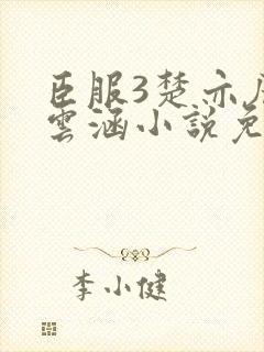 臣服3楚亦辰楚云涵小说免费阅读封面