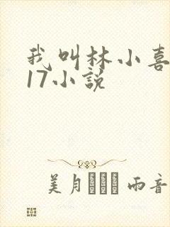 我叫林小喜今年17小说封面