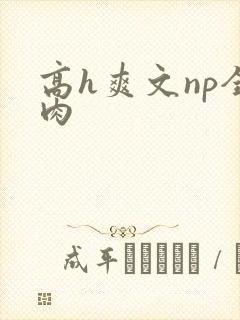 高h爽文np全肉