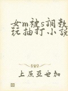 女m被s调教虐玩抽打小说