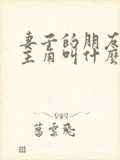妻子的朋友的女主角叫什么