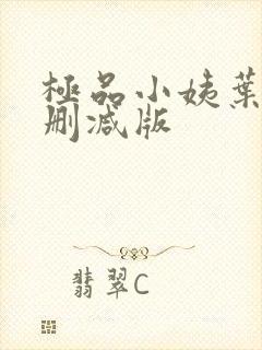 极品小姨叶凡无删减版