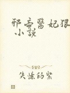 邪帝医妃狠逆天 小说