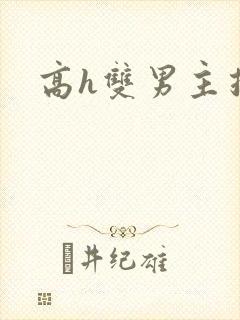 高h双男主推荐封面