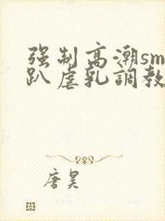 强制高潮sm跪趴虐乳调教小说