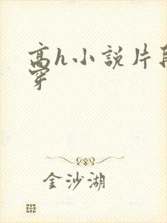 高h小说片段快穿