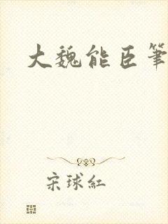 大魏能臣笔趣阁